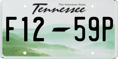 TN license plate F1259P