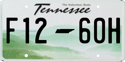 TN license plate F1260H