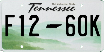 TN license plate F1260K