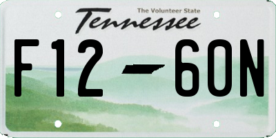 TN license plate F1260N