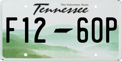TN license plate F1260P
