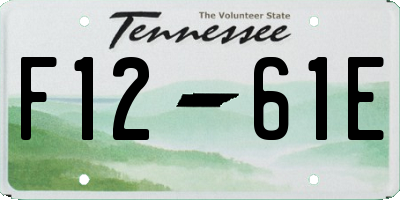 TN license plate F1261E