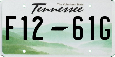 TN license plate F1261G