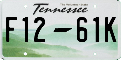 TN license plate F1261K