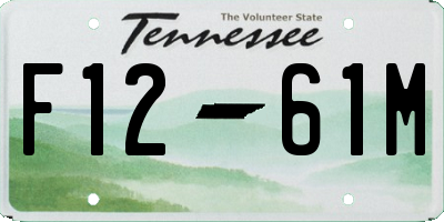 TN license plate F1261M