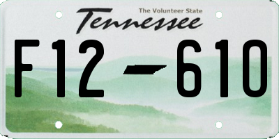 TN license plate F1261O