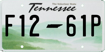 TN license plate F1261P