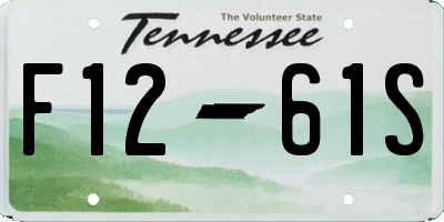 TN license plate F1261S