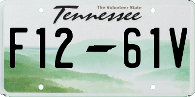 TN license plate F1261V
