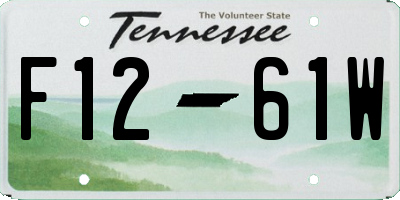 TN license plate F1261W
