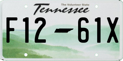 TN license plate F1261X
