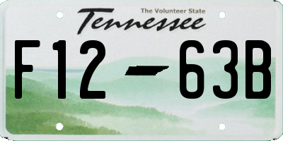 TN license plate F1263B