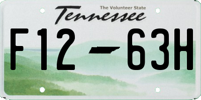 TN license plate F1263H