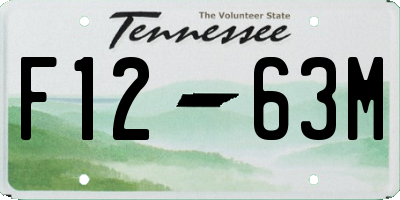 TN license plate F1263M