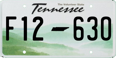 TN license plate F1263O