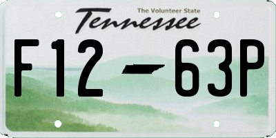 TN license plate F1263P