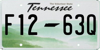 TN license plate F1263Q