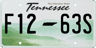 TN license plate F1263S