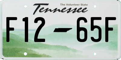 TN license plate F1265F