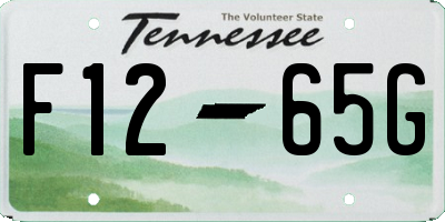 TN license plate F1265G