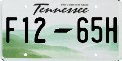 TN license plate F1265H