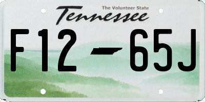 TN license plate F1265J