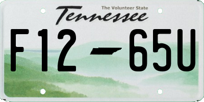 TN license plate F1265U