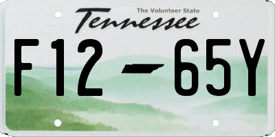 TN license plate F1265Y
