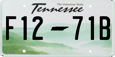 TN license plate F1271B