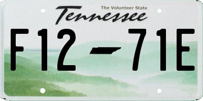 TN license plate F1271E