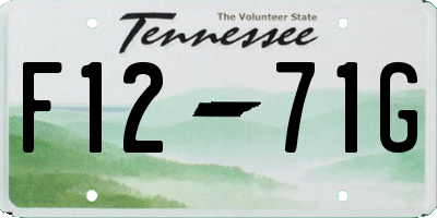 TN license plate F1271G