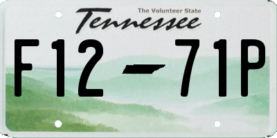 TN license plate F1271P
