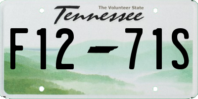 TN license plate F1271S
