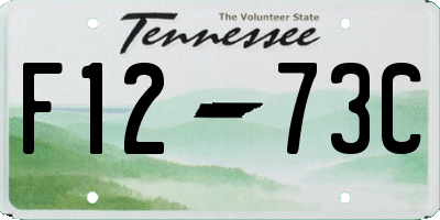 TN license plate F1273C