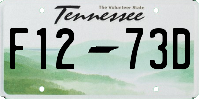 TN license plate F1273D