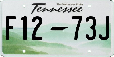 TN license plate F1273J