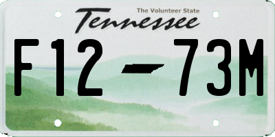 TN license plate F1273M