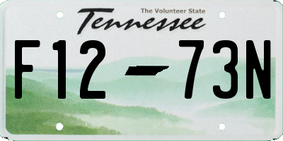 TN license plate F1273N