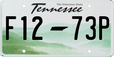 TN license plate F1273P