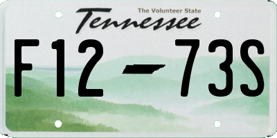 TN license plate F1273S