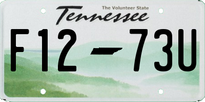 TN license plate F1273U