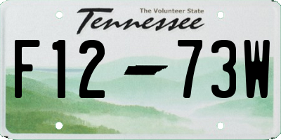 TN license plate F1273W