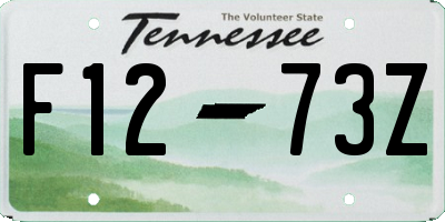 TN license plate F1273Z