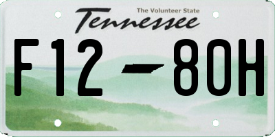 TN license plate F1280H