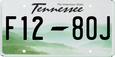 TN license plate F1280J