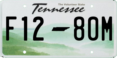 TN license plate F1280M