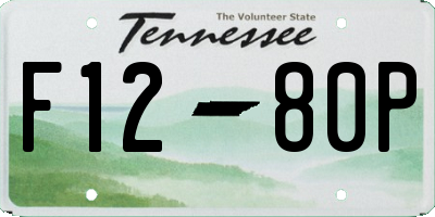TN license plate F1280P