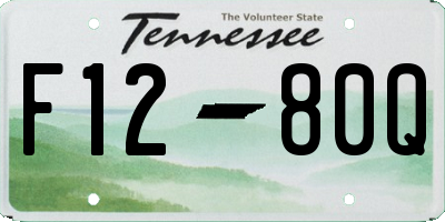 TN license plate F1280Q
