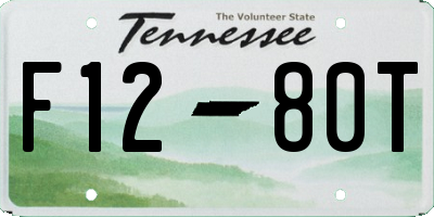 TN license plate F1280T