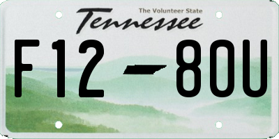 TN license plate F1280U